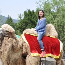 I also got to sit on a camel's back for the first time.
