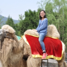 I also got to sit on a camel's back for the first time.